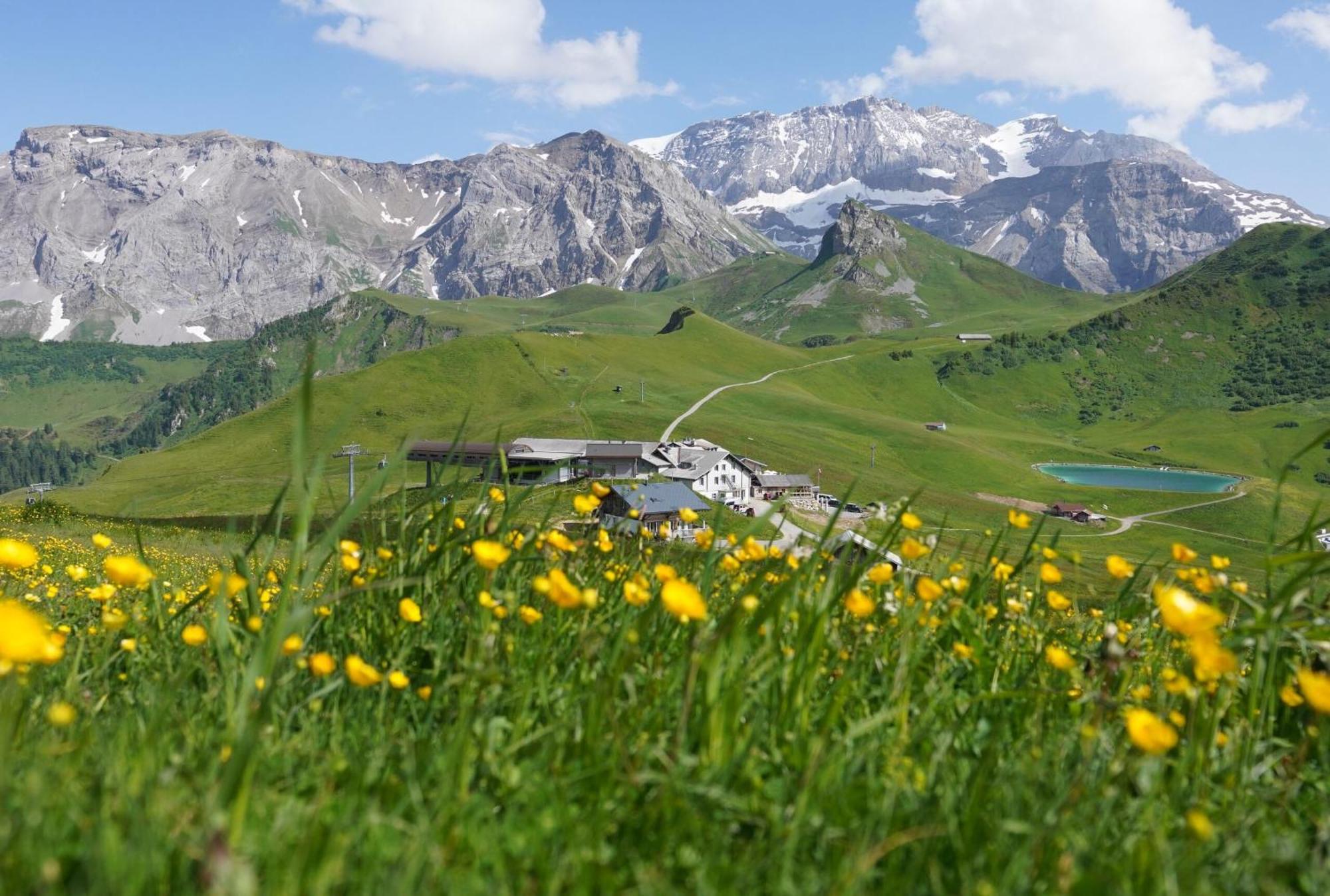 Berghotel Hahnenmoos Аделбоден Екстериор снимка